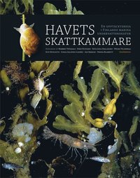Havets skattkammare : en upptcktsresa i Finlands marina undervattensnatur (inbunden)