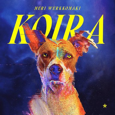 Koira (h�ftad)