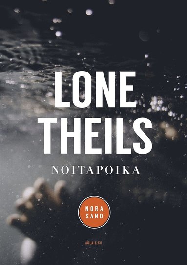 Noitapoika (ljudbok)