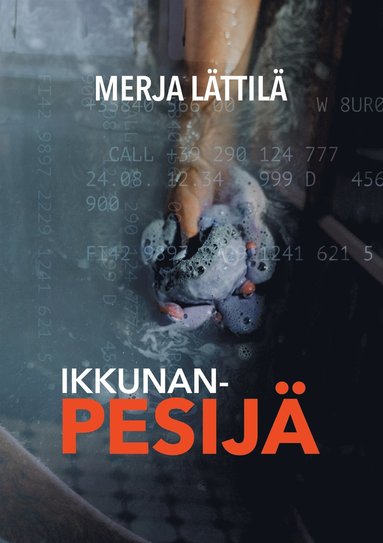 Ikkunanpesij (e-bok)