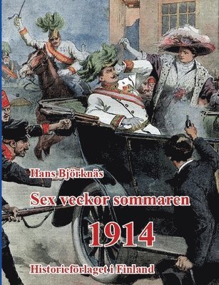 Sex veckor sommaren 1914 (hftad)