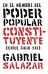 el nombre del poder popular constituyente
