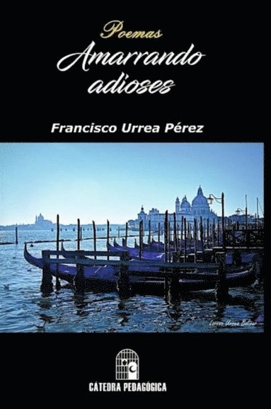 Amarrando adioses (pocket)