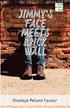 Jimmy's Face Meets Brick Wall: A story by Fapelo