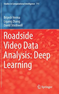 Roadside Video Data Analysis (inbunden)
