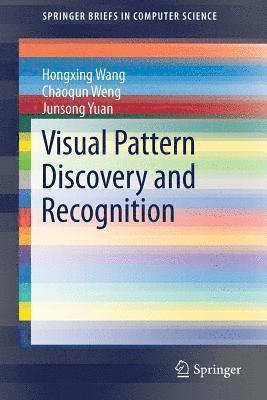 Visual Pattern Discovery and Recognition (häftad)