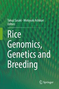 Rice Genomics, Genetics and Breeding (inbunden)