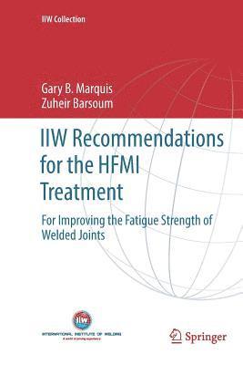 IIW Recommendations for the HFMI Treatment (hftad)