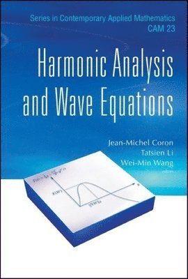 Harmonic Analysis And Wave Equations (inbunden)