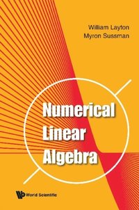 Numerical Linear Algebra (e-bok)