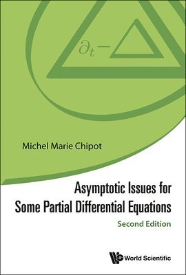 Asymptotic Issues For Some Partial Differential Equations (inbunden)