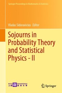 Sojourns in Probability Theory and Statistical Physics - II (e-bok)
