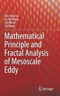 Mathematical Principle and Fractal Analysis of Mesoscale Eddy (inbunden)