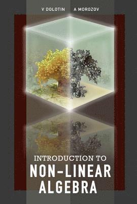 Introduction To Non-linear Algebra (inbunden)