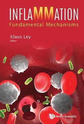 Inflammation: Fundamental Mechanisms (inbunden)