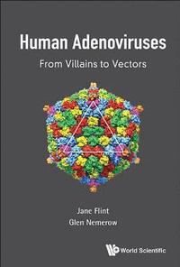 Human Adenoviruses: From Villains To Vectors (inbunden)