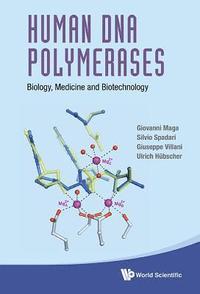 Human Dna Polymerases: Biology, Medicine And Biotechnology (inbunden)