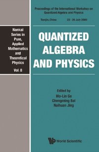 Quantized Algebra And Physics - Proceedings Of The International Workshop (e-bok)