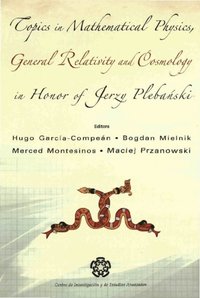 Topics In Mathematical Physics General Relativity And Cosmology In Honor Of Jerzy Plebanski - Proceedings Of 2002 International Conference (e-bok)