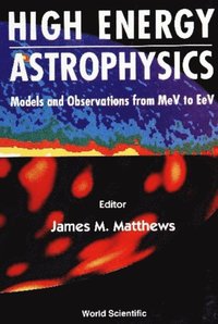 High Energy Astrophysics: Models And Observations From Mev To Tev (e-bok)
