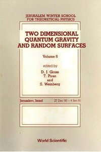 Two Dimensional Quantum Gravity And Random Surfaces - 8th Jerusalem Winter School For Theoretical Physics (e-bok)
