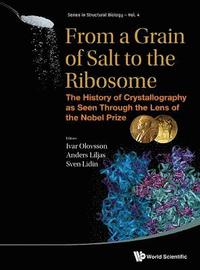 From A Grain Of Salt To The Ribosome: The History Of Crystallography As Seen Through The Lens Of The Nobel Prize (inbunden)