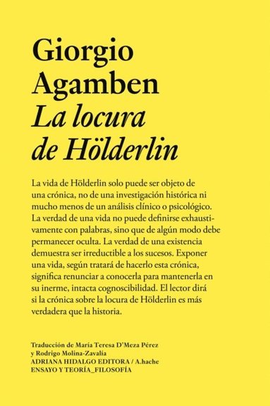 La locura de Hölderlin (hftad)
