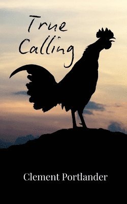 True Calling (häftad)