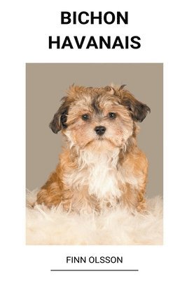 Bichon Havanais (inbunden)