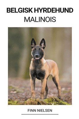 Belgisk Hyrdehund (Malinois) (hftad)