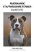 Amerikansk Staffordshire Terrier (Amstaff)