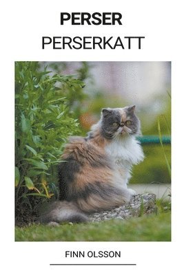 Perser (Perserkatt) (häftad)