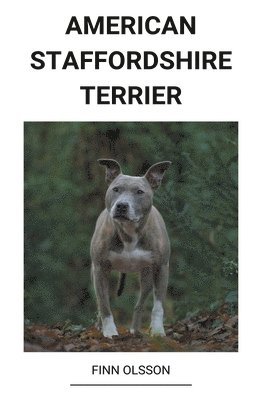 American Staffordshire Terrier (häftad)