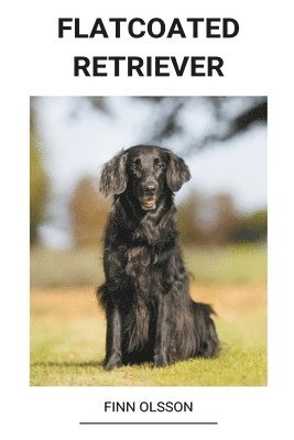 Flatcoated Retriever (inbunden)