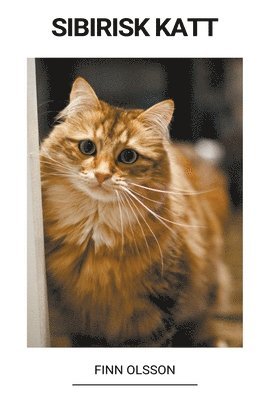 Sibirisk Katt (pocket)
