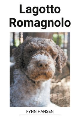 Lagotto Romagnolo (häftad)