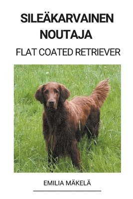 Sileäkarvainen Noutaja (Flat Coated Retriever) (häftad)