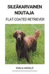 Sileäkarvainen Noutaja (Flat Coated Retriever)