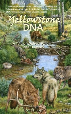 Yellowstone DNA (hftad)