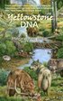 Yellowstone DNA