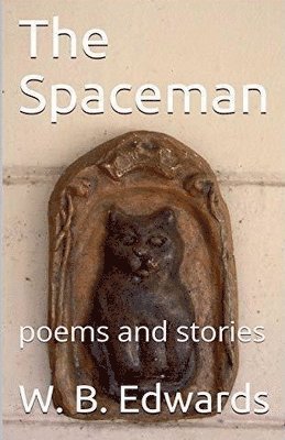Spaceman (häftad)