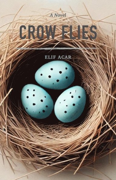 Crow Flies (häftad)