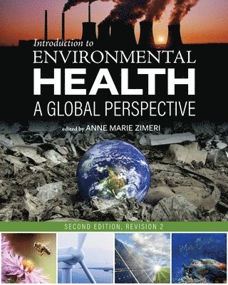 Introduction to Environmental Health (häftad)