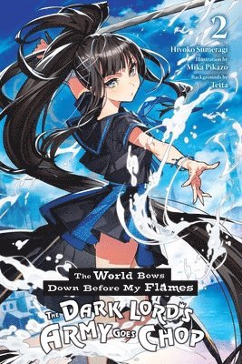 World Bows Down Before My Flames, Vol. 2 (novel) (h�ftad)