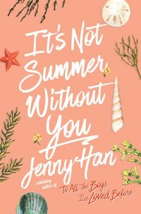 It's Not Summer Without You (inbunden)
