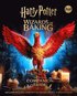 Harry Potter: Wizards of Baking: The Official Companion Guide