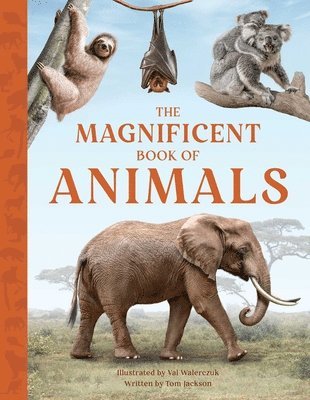Magnificent Book Of Animals (hftad)