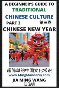 Introduction To Chinese New Year - Spring Festival, A Beginner's Guide ...