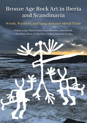 Bronze Age Rock Art in Iberia and Scandinavia (inbunden)