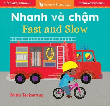 Fast and Slow (Bilingual Vietnamese & English) (kartonnage)